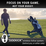 Sidekick - Alphard Golf AU